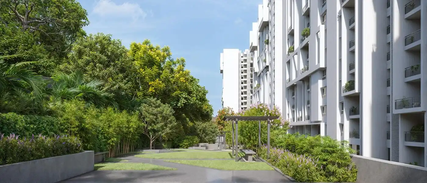 Central Green Maidan